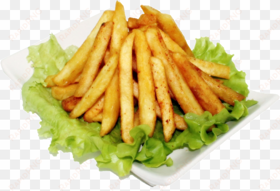 site on the web - french fries