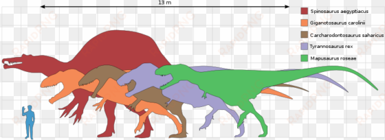 Size Comparison Of Selected Giant Theropod Dinosaurs, - Sizes Of Dinosaurs Compared To Humans transparent png image