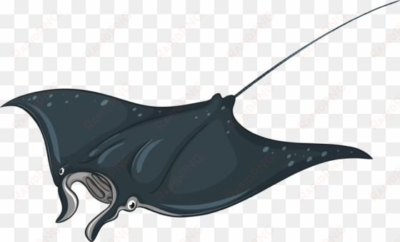 skate fish png clipart - stingray clipart