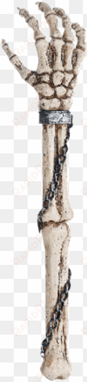 skeleton arm png jpg library stock - pacific giftware skeleton - back scratcher