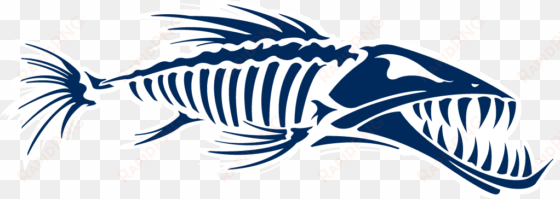 skeleton fish - barracuda clipart