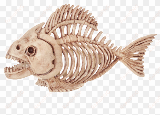 skeleton fish - fish skeleton halloween decoration