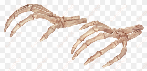 skeleton hands - crazy bonez skeleton hands for halloween decoration
