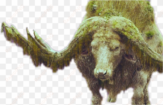 sker buffalo - kong: skull island