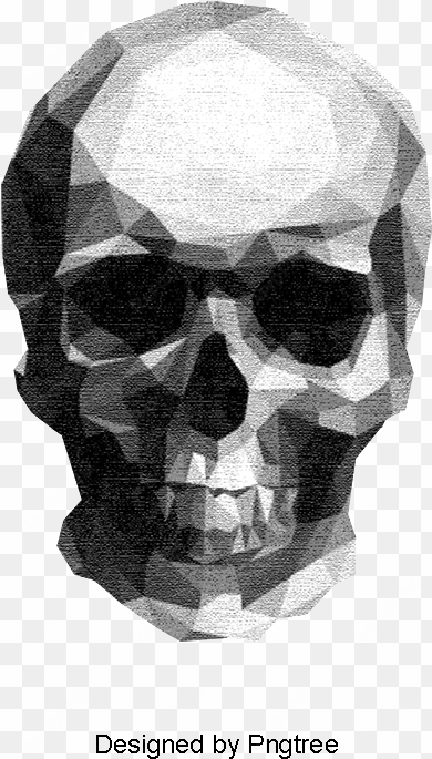 sketch skull, skull clipart, sketch, human skeleton - low poly illustrator