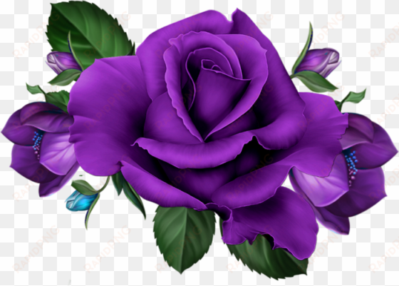 skrap olinka - purple rose png hd