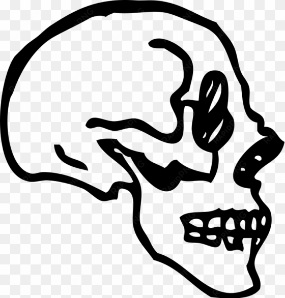 skull bone drawing human skeleton - skull profile transparent