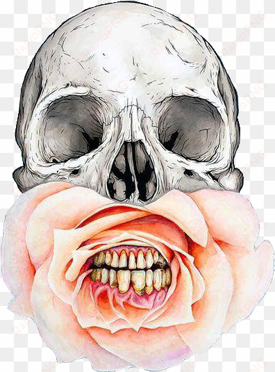 skull, flowers, and rose image - skulls flowers