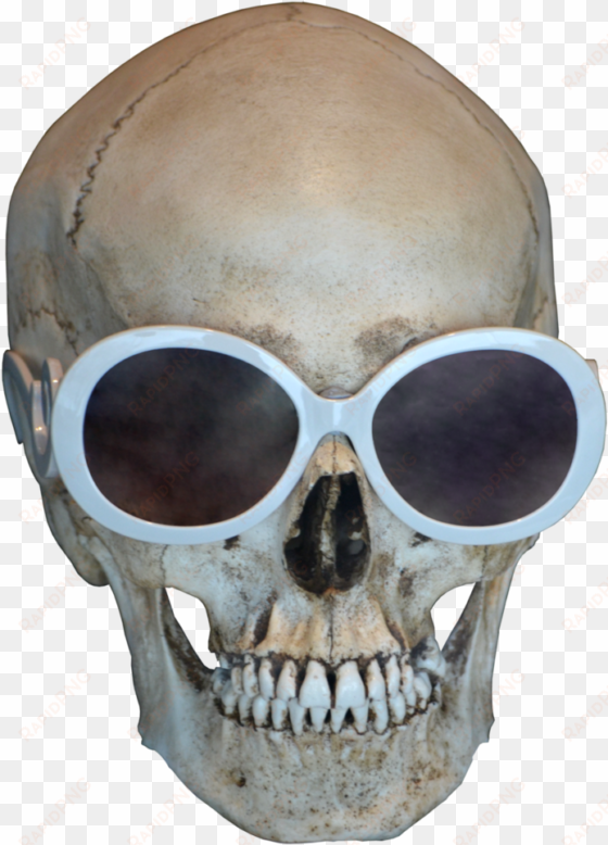 skull free download png - skull