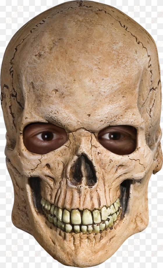 skull - full skull mask