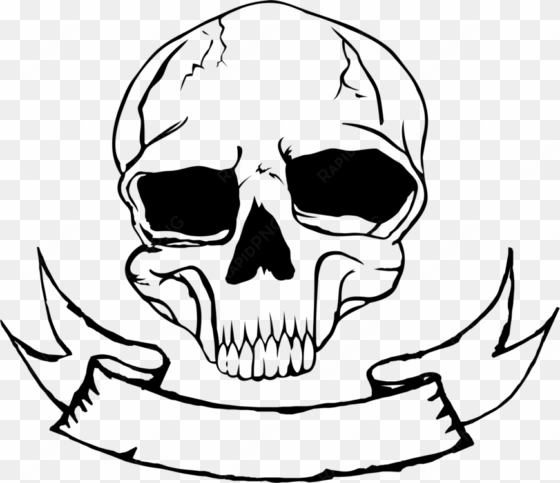 skull nose human skeleton bone free commercial clipart - skull