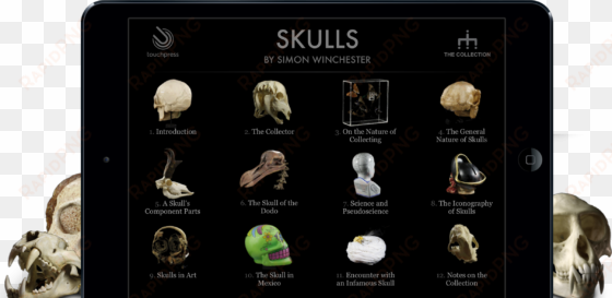 skulls by simon winchester » a stunning, interactive - skulls - an exploration of alan dudley's curious collection(pevná
