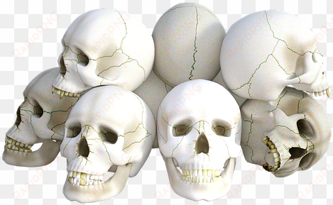 skulls png - skulls by express yourself journals 9781539042488 (paperback)