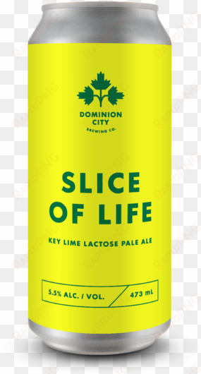 slice of life key lime lactose pale ale - caffeinated drink