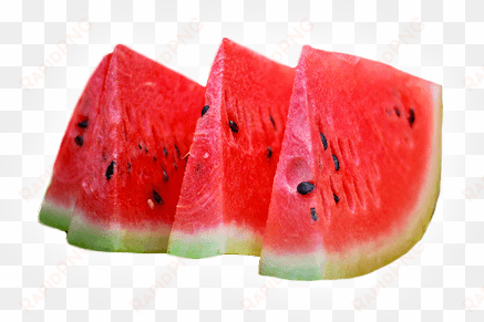 slice of watermelon png svg freeuse stock - food that provides water