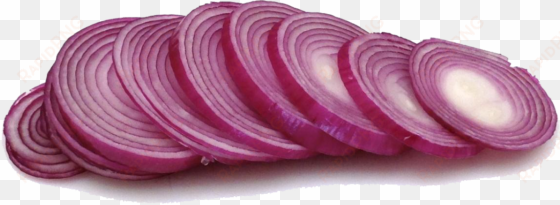 sliced onion png download image - red onion slices png