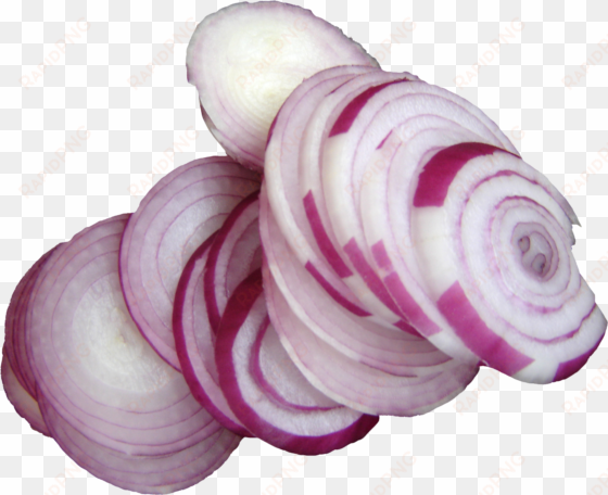 sliced onion png image - onion png