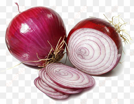 sliced onion transparent background png - portable network graphics