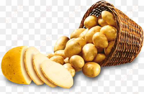 sliced potato png photo - portable network graphics