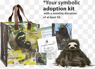 sloth adoption kit symbolically adopt a sloth - sloth