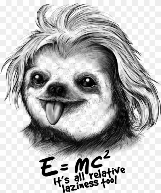 sloth einstein iphone 7 case