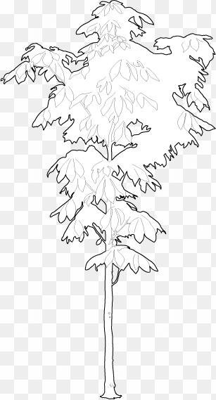 Small Chestnut Tree 2d Trees - Black Maple transparent png image