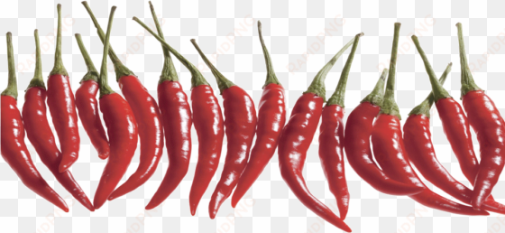 small chilli marketing - chili peppers isolated png