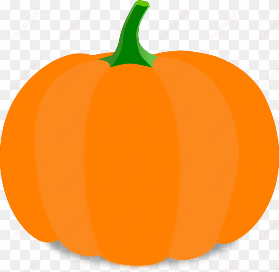 small - orange pumpkin clip art