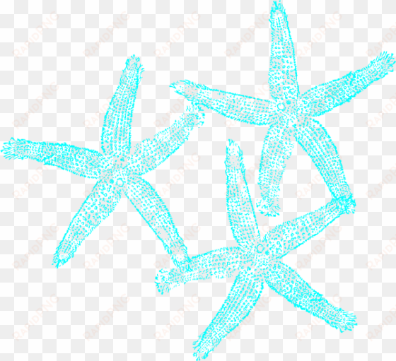 small - turquoise starfish clipart