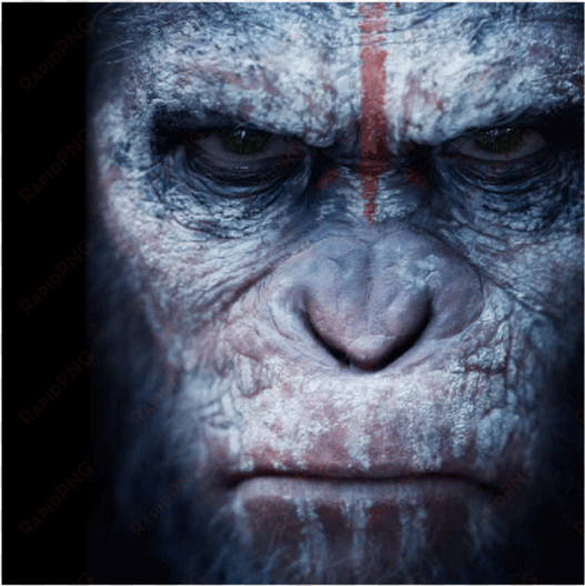 smartphone and pc strategy title plague inc has nabbed - planet of the apes caesar t shirt