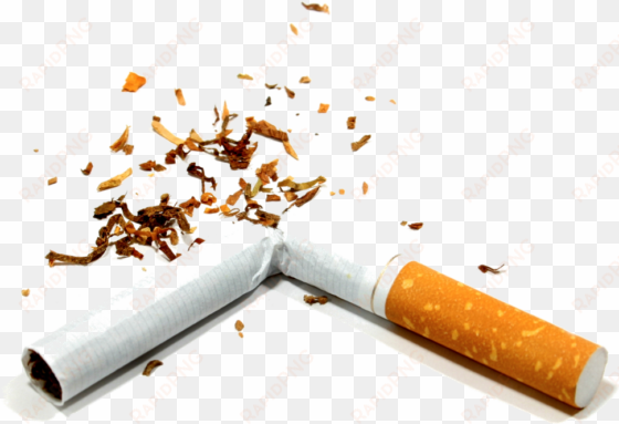 smoke clipart png tumblr - broken cigarette png