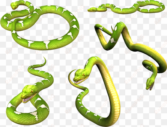 snake png - green snake png