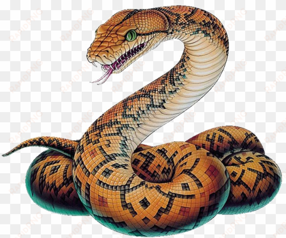snake png image - python snake drawing