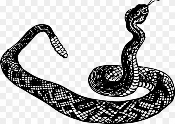 snake - rattlesnake clipart black and white