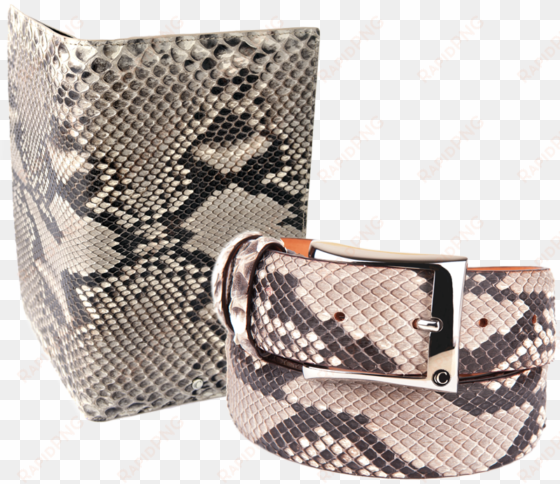 snakeskin drawing snake skin pattern clip transparent - snakeskin goods