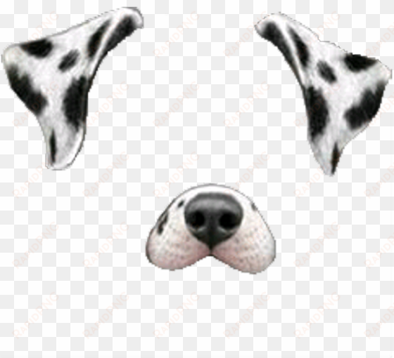 snapchat snapchatfilter filter dogface dog face white - snapchat dog filter png
