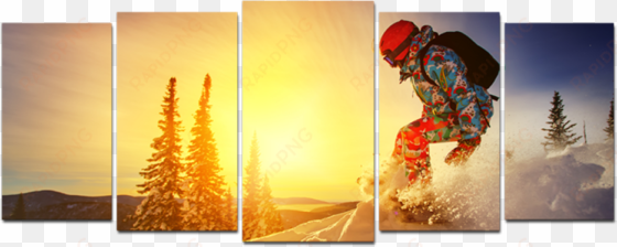 snow boarder 5 panel canvas wall art - 2 panel wall art transparent