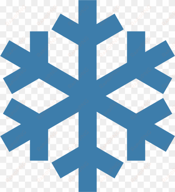 Snowflake Vector Flex - Bcg Medac transparent png image