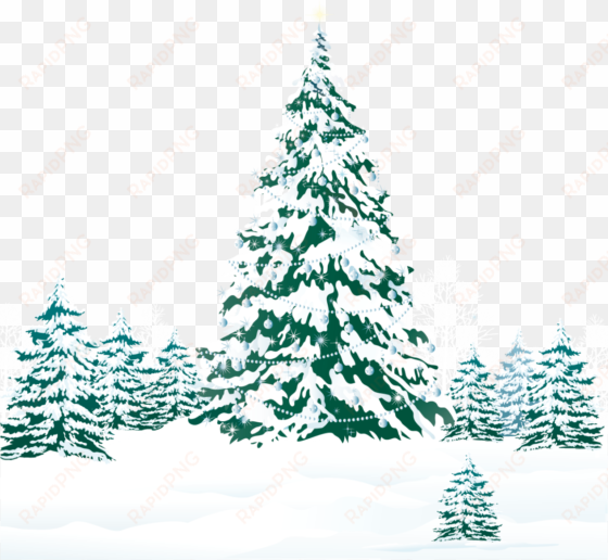 snowy winter ground with trees png clipart image - teal christmas tree png