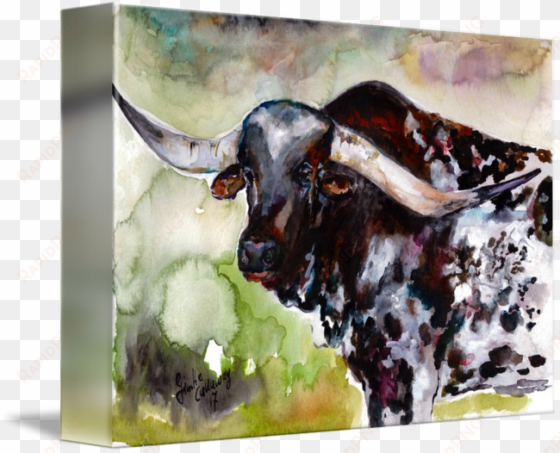 so here is a stunning portrait of a - texas longhorn