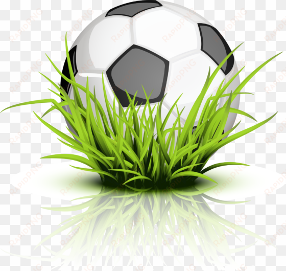 Soccer Ball Grass Soccer - Ball On Grass Tattoo transparent png image