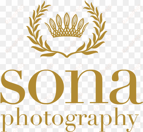 sona photography south asian wedding photographers - shi by journeys logo