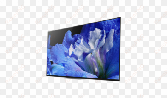 sony kd65af8bu 65" 4k oled television - sony oled kd 65a8f