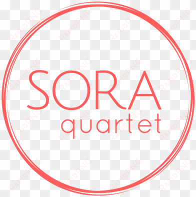 sora logo option1 format=1000w