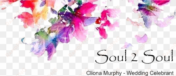 soul 2 soul weddings - cute cover photos for wattpad