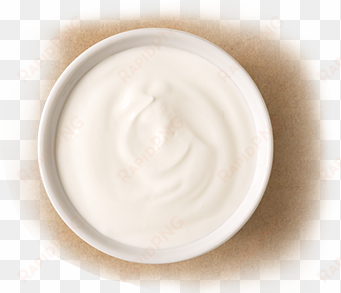 sour cream - yogurt top view png