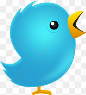 source - - cute twitter logo png transparent background