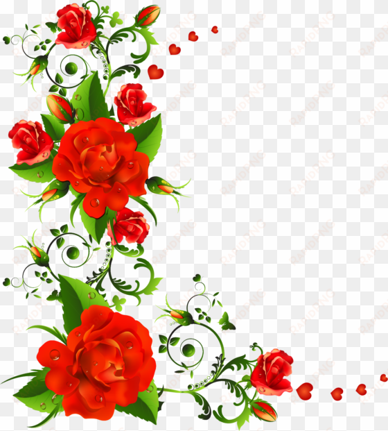 source - flowerillust - com - rose flower border