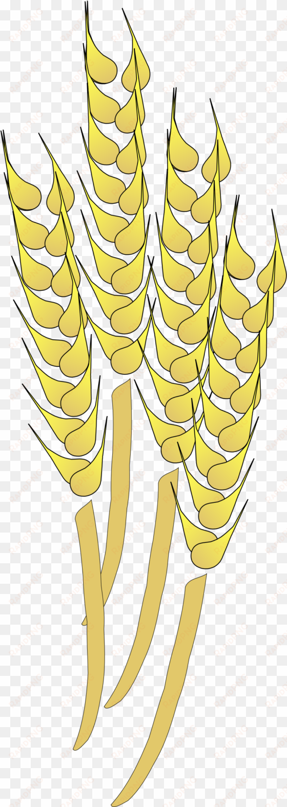 source - openclipart - org - report - wheat field clipart - wheat clip art