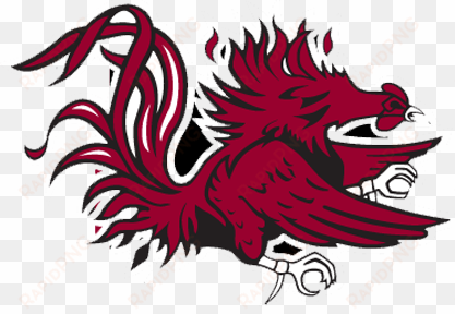 south carolina cock medium - gamecock logo